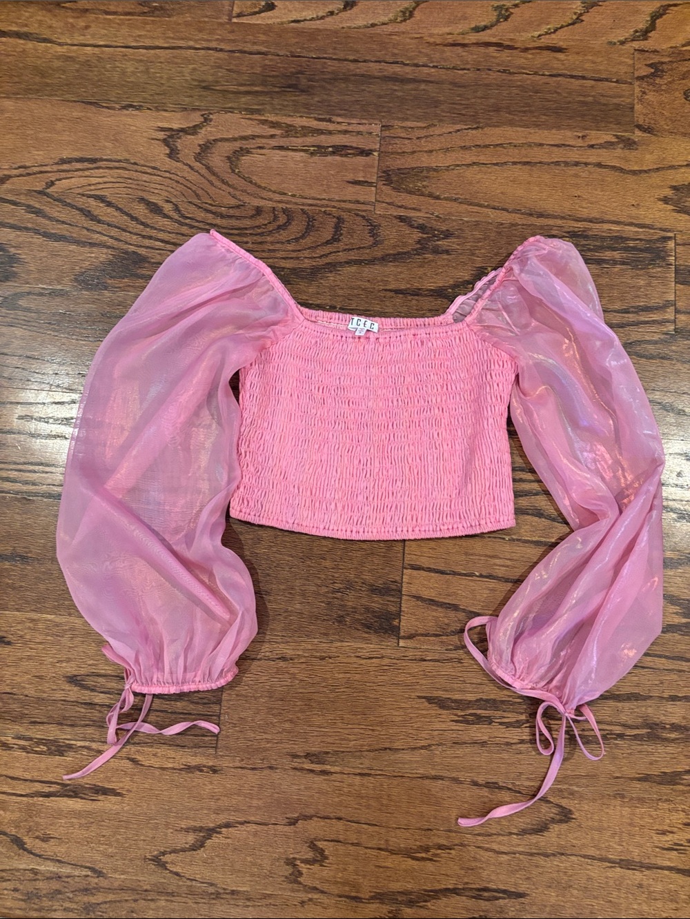 TCEC Pink Sheer Puff-Sleeve Smocked Crop Top